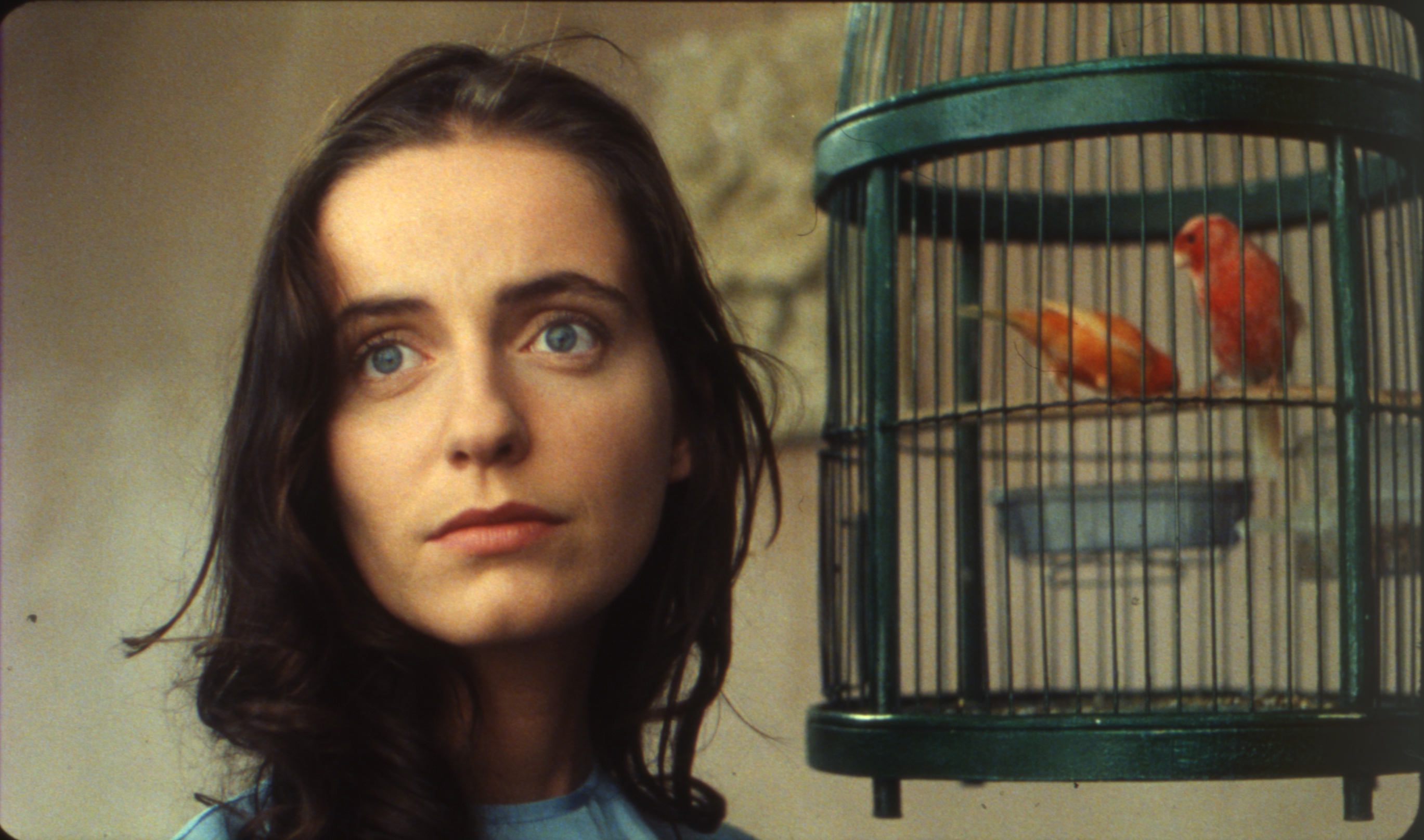 川崎市アートセンター公式サイト